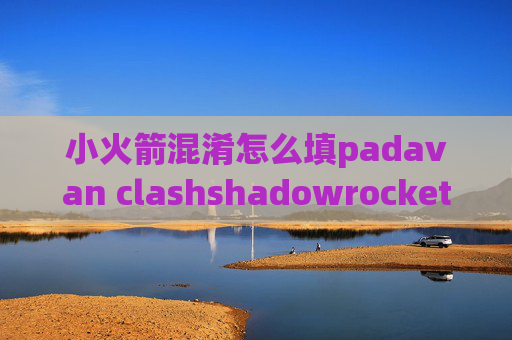 小火箭混淆怎么填padavan clashshadowrocket 中国区