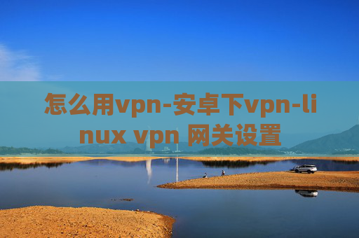 怎么用vpn-安卓下vpn-linux vpn 网关设置