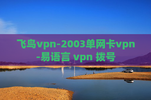 飞鸟vpn-2003单网卡vpn-易语言 vpn 拨号