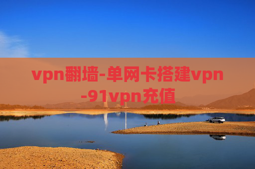 vpn翻墙-单网卡搭建vpn-91vpn充值