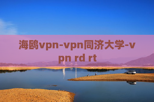 海鸥vpn-vpn同济大学-vpn rd rt