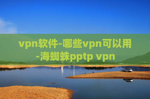 vpn软件-哪些vpn可以用-海蜘蛛pptp vpn