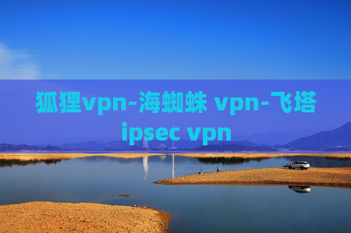 狐狸vpn-海蜘蛛 vpn-飞塔ipsec vpn