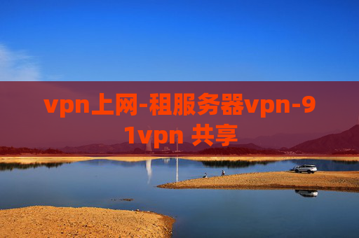 vpn上网-租服务器vpn-91vpn 共享