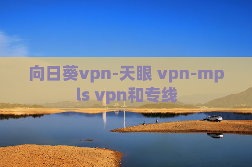 向日葵vpn-天眼 vpn-mpls vpn和专线