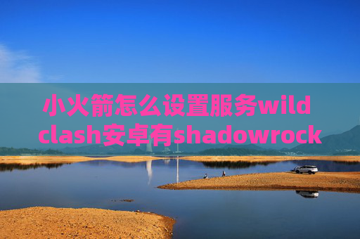 小火箭怎么设置服务wild clash安卓有shadowrocket