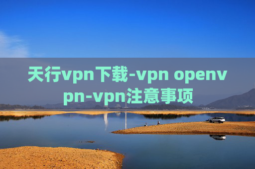 天行vpn下载-vpn openvpn-vpn注意事项