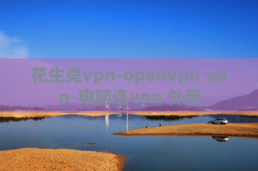 花生壳vpn-openvpn vpn-电脑连vpn 外网