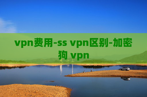 vpn费用-ss vpn区别-加密狗 vpn