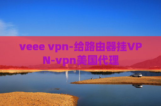 veee vpn-给路由器挂VPN-vpn美国代理