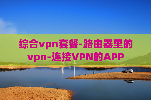 综合vpn套餐-路由器里的vpn-连接VPN的APP