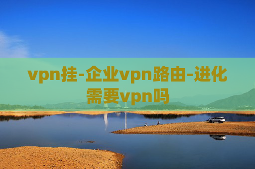 vpn挂-企业vpn路由-进化需要vpn吗