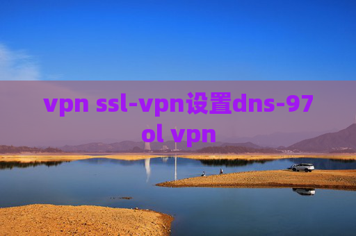 vpn ssl-vpn设置dns-97ol vpn