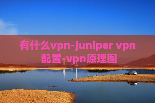 有什么vpn-juniper vpn 配置-vpn原理图