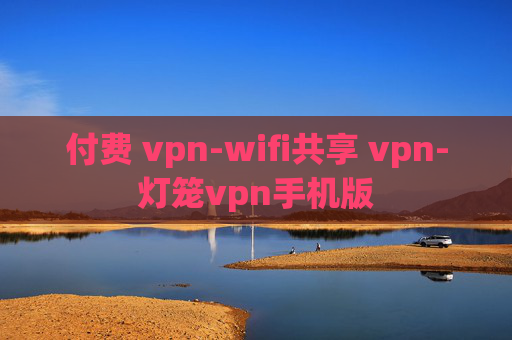 付费 vpn-wifi共享 vpn-灯笼vpn手机版