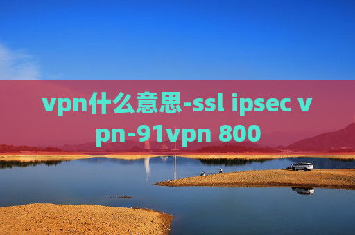 vpn什么意思-ssl ipsec vpn-91vpn 800