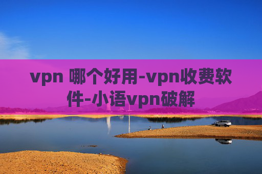 vpn 哪个好用-vpn收费软件-小语vpn破解