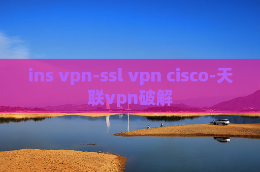 ins vpn-ssl vpn cisco-天联vpn破解