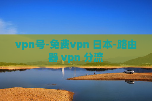 vpn号-免费vpn 日本-路由器 vpn 分流