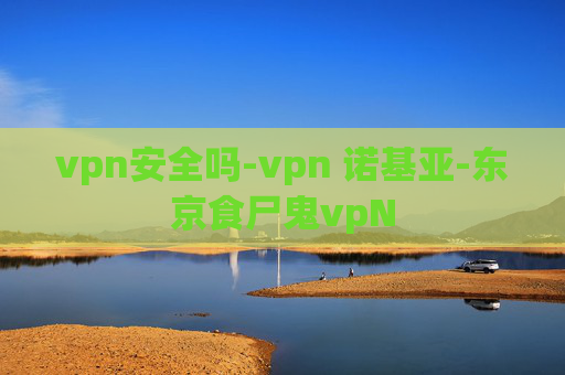 vpn安全吗-vpn 诺基亚-东京食尸鬼vpN