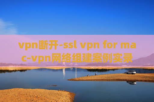 vpn断开-ssl vpn for mac-vpn网络组建案例实录