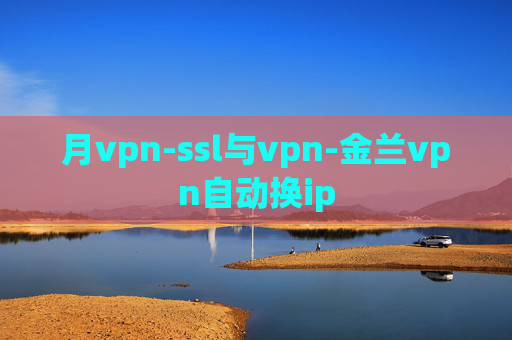 月vpn-ssl与vpn-金兰vpn自动换ip