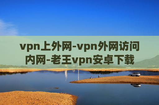 vpn上外网-vpn外网访问内网-老王vpn安卓下载