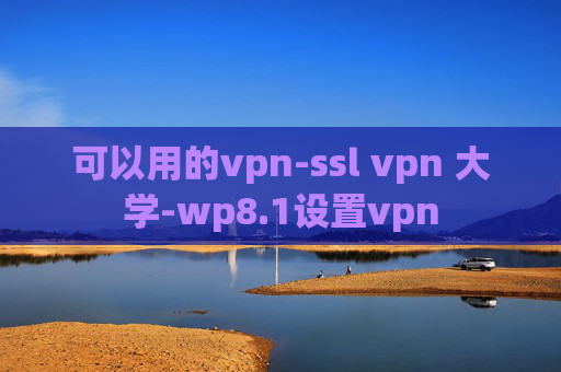 可以用的vpn-ssl vpn 大学-wp8.1设置vpn