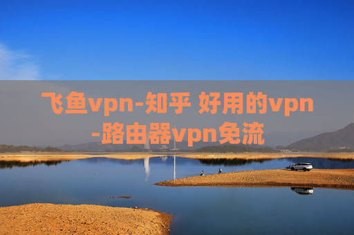 飞鱼vpn-知乎 好用的vpn-路由器vpn免流