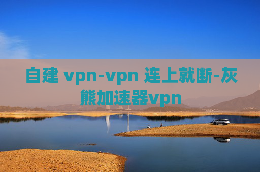 自建 vpn-vpn 连上就断-灰熊加速器vpn