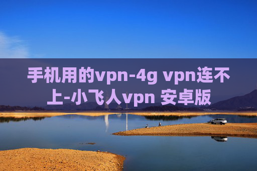 手机用的vpn-4g vpn连不上-小飞人vpn 安卓版