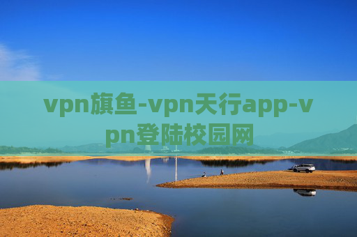 vpn旗鱼-vpn天行app-vpn登陆校园网