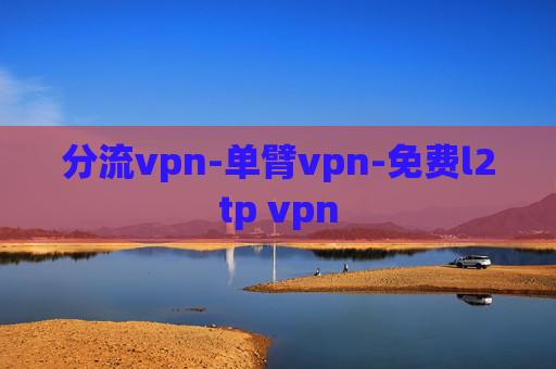 分流vpn-单臂vpn-免费l2tp vpn