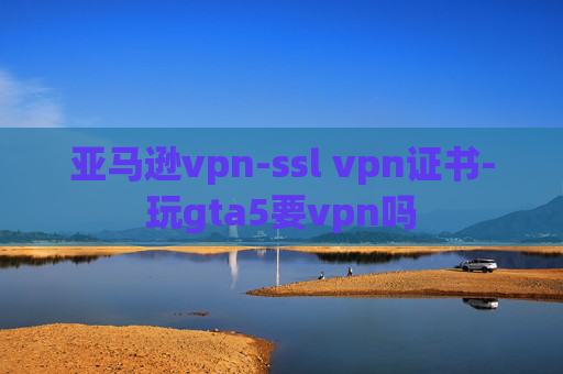 亚马逊vpn-ssl vpn证书-玩gta5要vpn吗