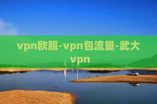 vpn欧服-vpn包流量-武大 vpn