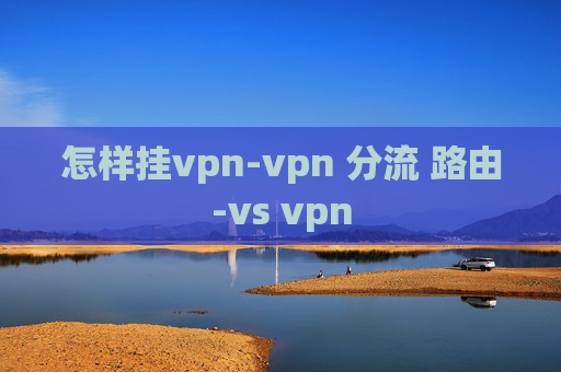 怎样挂vpn-vpn 分流 路由-vs vpn