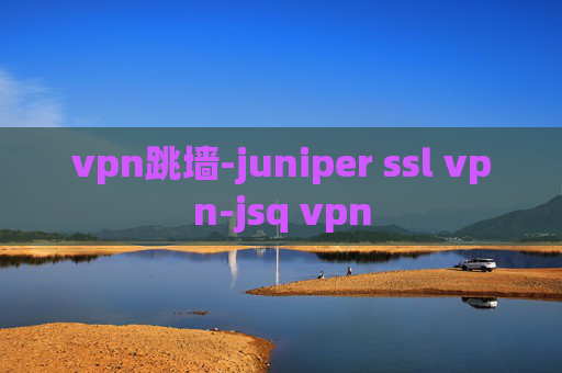 vpn跳墙-juniper ssl vpn-jsq vpn