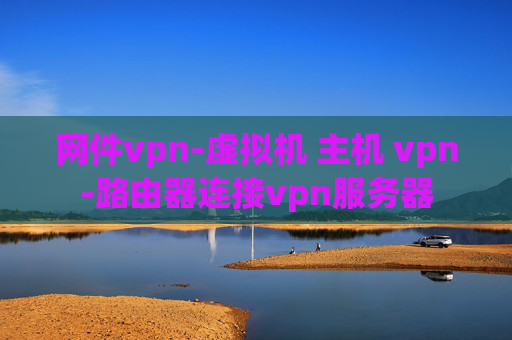 网件vpn-虚拟机 主机 vpn-路由器连接vpn服务器