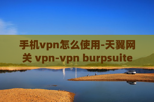 手机vpn怎么使用-天翼网关 vpn-vpn burpsuite