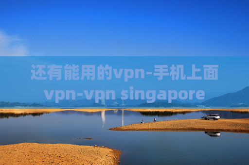 还有能用的vpn-手机上面vpn-vpn singapore