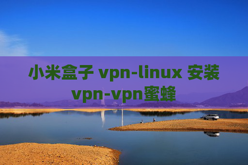 小米盒子 vpn-linux 安装vpn-vpn蜜蜂