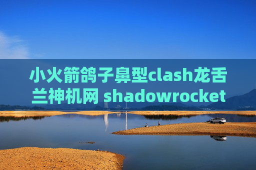 小火箭鸽子鼻型clash龙舌兰神机网 shadowrocket