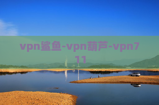 vpn鲨鱼-vpn葫芦-vpn711