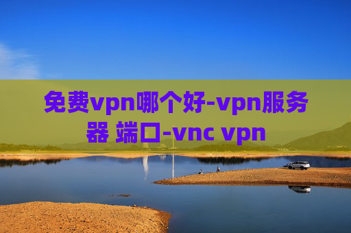 免费vpn哪个好-vpn服务器 端口-vnc vpn