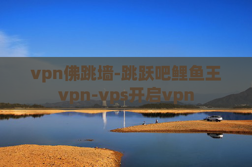 vpn佛跳墙-跳跃吧鲤鱼王vpn-vps开启vpn